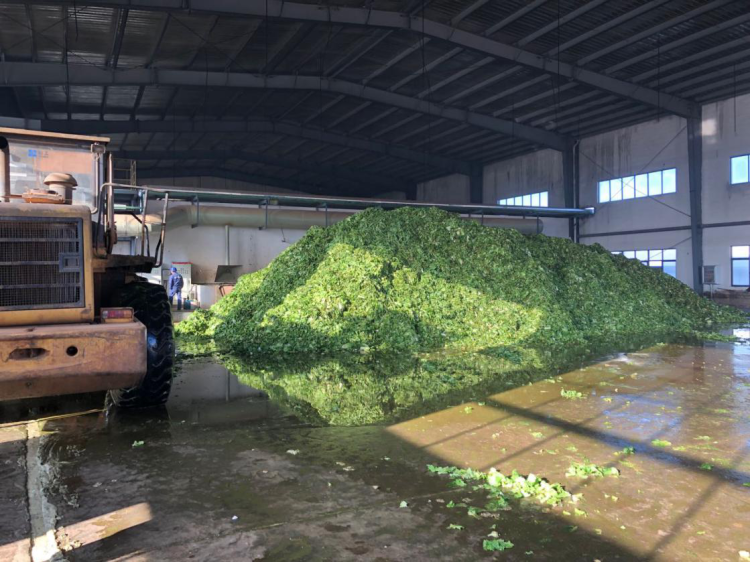 1741569419879601.png d4.png