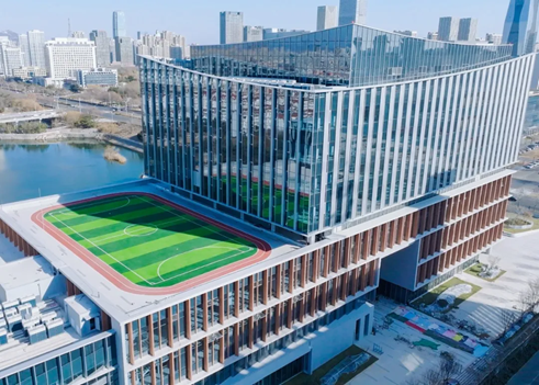 1741759656992629.png d2.png