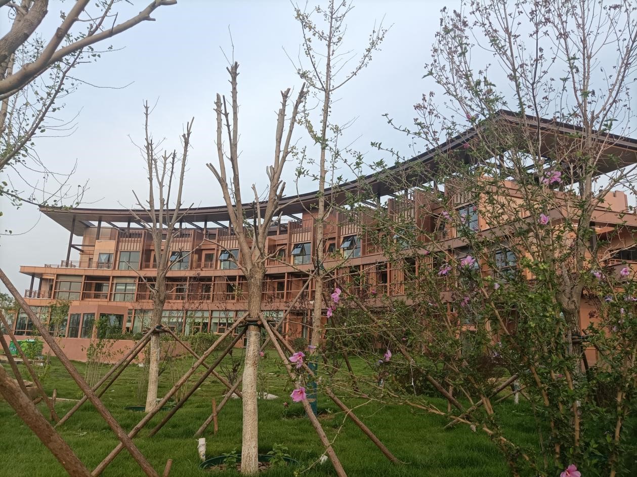 1634523011677449.jpg 02.jpg